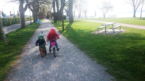 Kinderfahrrad Vergleichstest