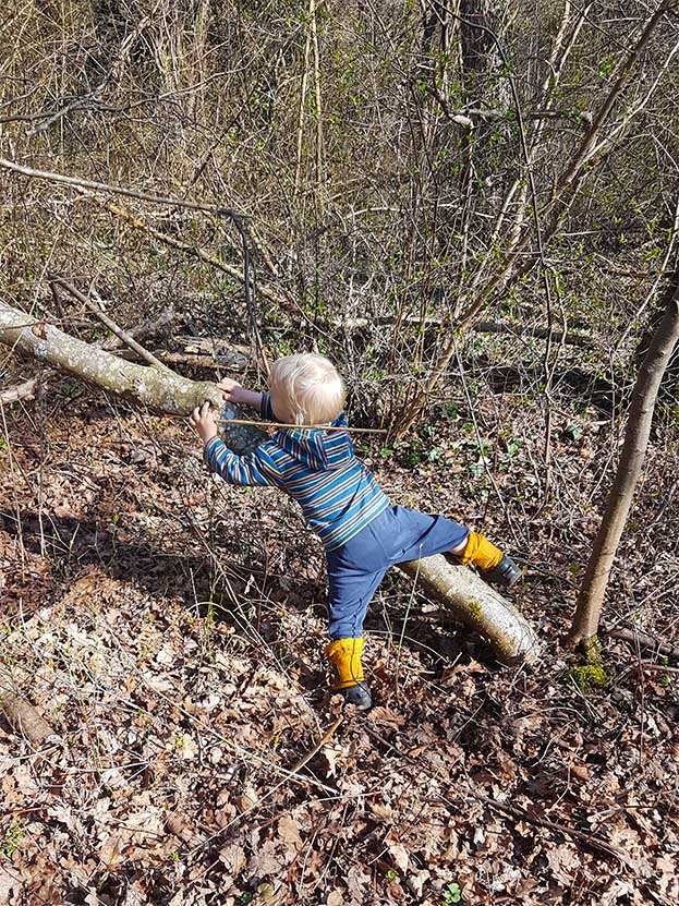 Ein kleines Kind versucht im Wald, einen Baumstamm hinauf zu klettern