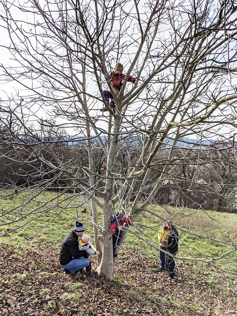 Kinder klettern auf einen Baum