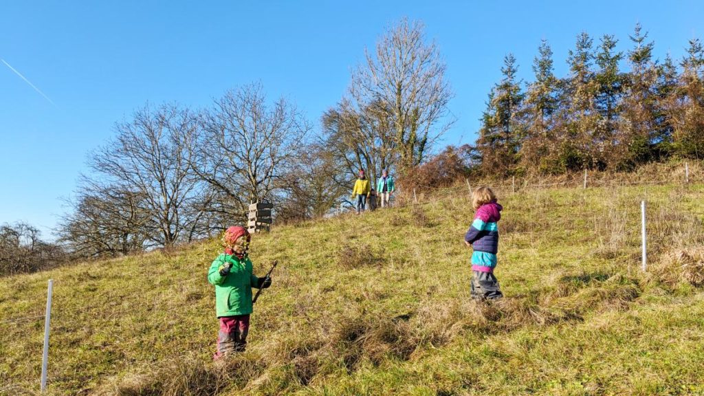 Kinder mit Familie springen über eine Wiese