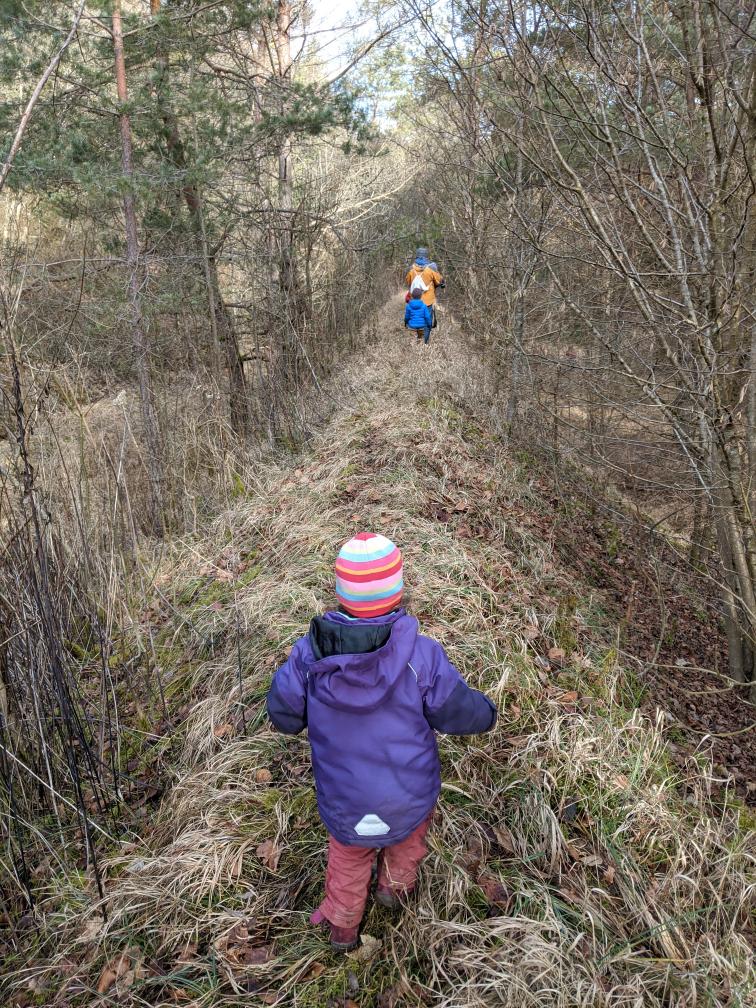 Kinder auf dem Damm im Wald