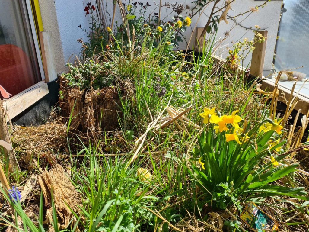 Buntes Blumenbeet auf dem Balkon