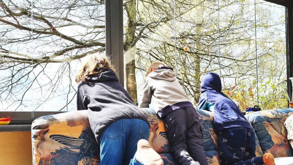 Kinder schauen aus der Quarantäne nach draußen ins Grüne
