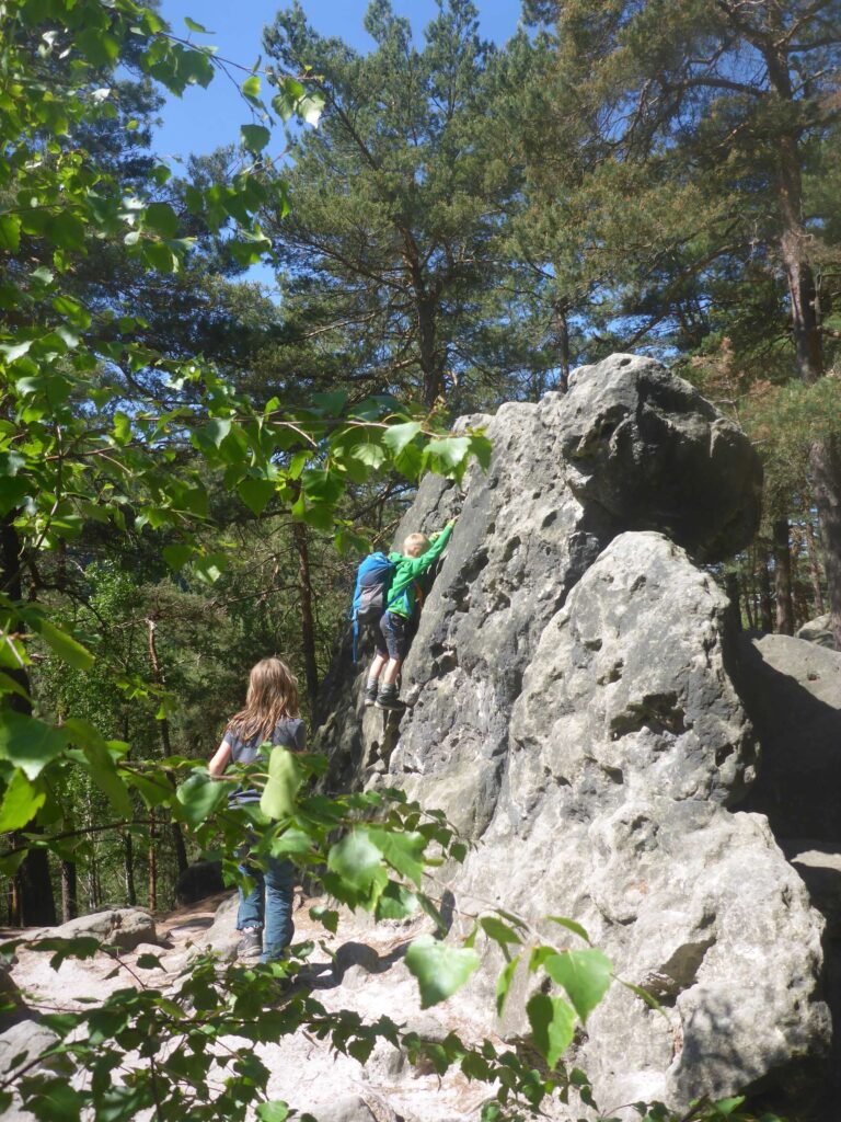Sandsteinfelsen im Elbsandsteingebirge, die von unseren Kindern beklettert werden
