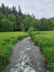 Die Fehla, normalerweise ein sehr beschauliches Flüsschen, hier bei Hochwasser